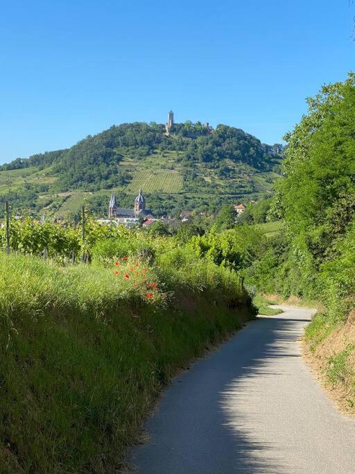 Acapella Suite Adagio 54Qm, Direkt Am Weinberg, Altstadt, Netflix Inklusive Heppenheim  Exteriér fotografie