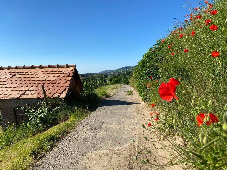 Acapella Suite Adagio 54Qm, Direkt Am Weinberg, Altstadt, Netflix Inklusive Heppenheim  Exteriér fotografie