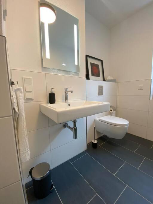Acapella Suite Adagio 54Qm, Direkt Am Weinberg, Altstadt, Netflix Inklusive Heppenheim  Exteriér fotografie