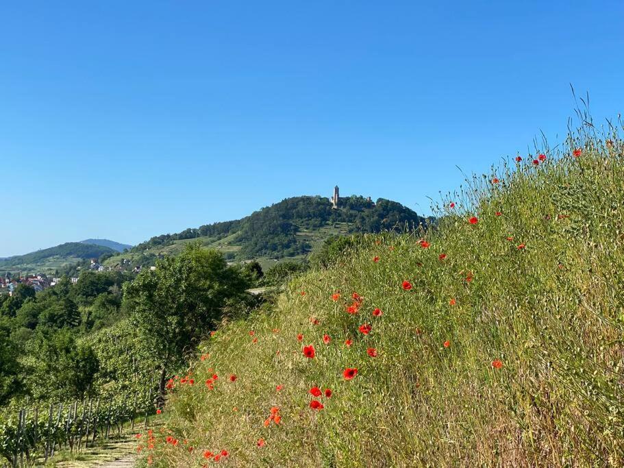 Acapella Suite Adagio 54Qm, Direkt Am Weinberg, Altstadt, Netflix Inklusive Heppenheim  Exteriér fotografie
